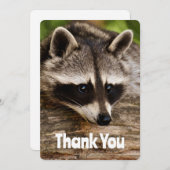 ログに残ったかわいいアライグマありがとう サンキューカード (正面/裏面)