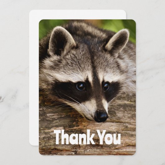 ログに残ったかわいいアライグマありがとう サンキューカード (正面/裏面)
