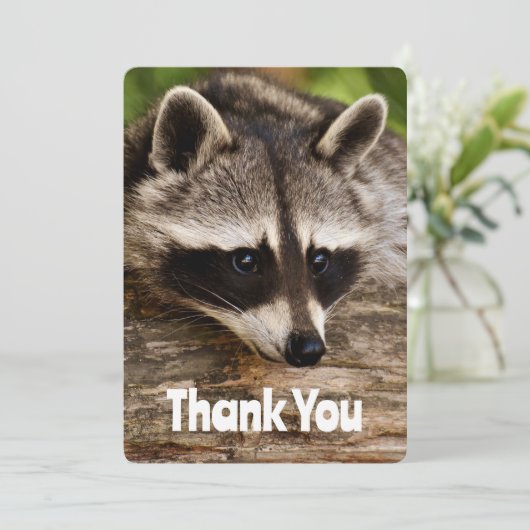 ログに残ったかわいいアライグマありがとう サンキューカード (スタンド正面)