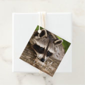 ログに残ったかわいいアライグマありがとう フェイバータグ (インサイチュ)