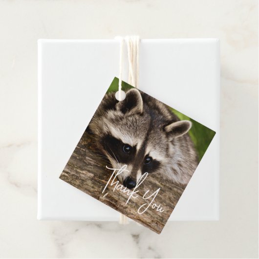 ログに残ったかわいいアライグマありがとう フェイバータグ (インサイチュ)