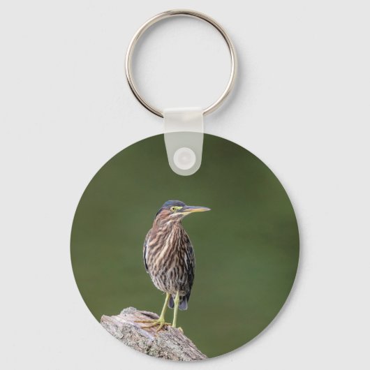 ログに緑のヘロン キーホルダー (正面)