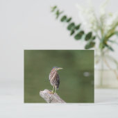 ログに緑のヘロン ポストカード (スタンド正面)