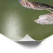 ログに10x8緑のヘロン フォトプリント            (角)