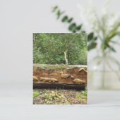 ログの切り刻み ポストカード (スタンド正面)