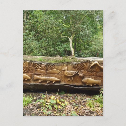 ログの切り刻み ポストカード (正面)