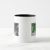 ログの外部ビューCabinCazadero, CA マグカップ (中央)