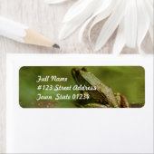 ログの宛名ラベルのカエル ラベル (インサイチュ)