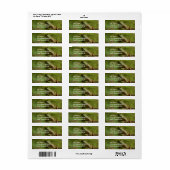 ログの宛名ラベルのカエル ラベル (フルシート)