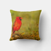 ログの（鳥）ショウジョウコウカンチョウ（オス） クッション (裏面)