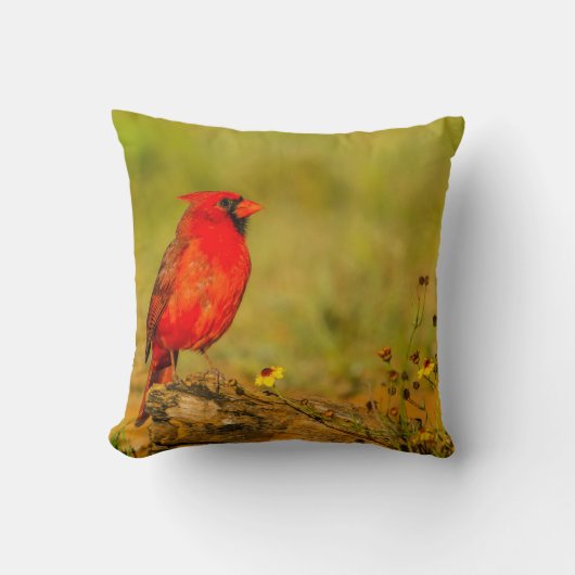 ログの（鳥）ショウジョウコウカンチョウ（オス） クッション (正面)