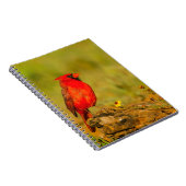 ログの（鳥）ショウジョウコウカンチョウ（オス） ノートブック (右側)