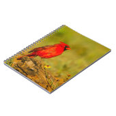 ログの（鳥）ショウジョウコウカンチョウ（オス） ノートブック (左側)