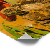 ログの（鳥）ショウジョウコウカンチョウ（オス） ポスター (角)