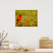 ログの（鳥）ショウジョウコウカンチョウ（オス） ポスター (キッチン)