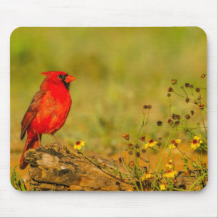 ログの(鳥)ショウジョウコウカンチョウ(オス) マウスパッド
