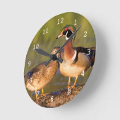 ログインの沼地のアメリカオシそして女性 ラウンド壁時計 (傾斜)