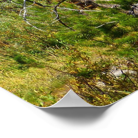 ログキャビン ポスター (角)