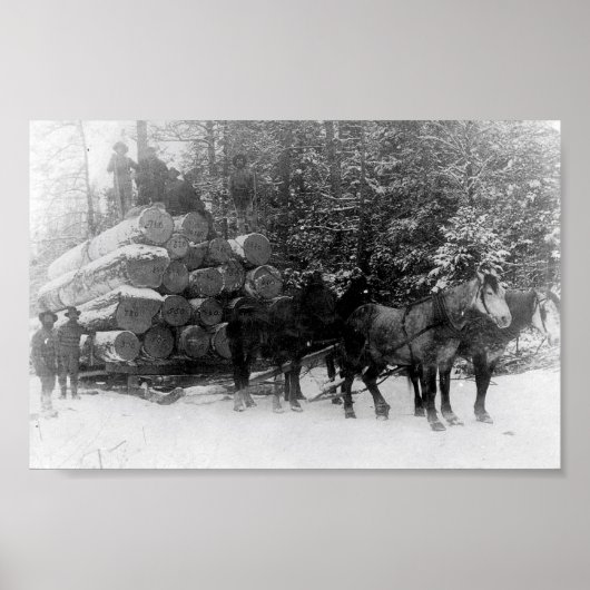 ログスレッド ポスター (正面)