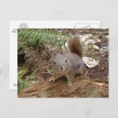 ログ上のファジーの若葉書 ポストカード (正面/裏面)