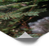 ログ上の赤いキツネ ポスター (角)