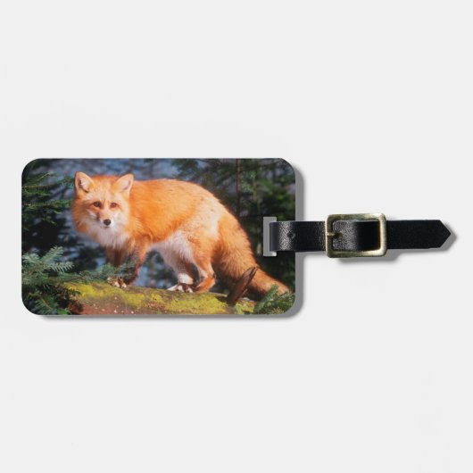 ログ上の赤いキツネ ラゲッジタグ (正面横)