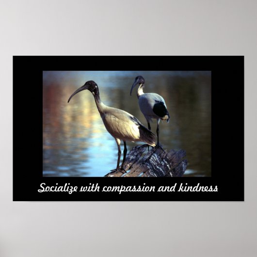 ログ上の鳥 ポスター (正面)