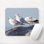 ログ上の3つのカモメ マウスパッド (マウス)