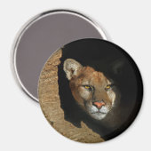 ログ3"マグネットに隠れているマウンチアシカ マグネット (正面/裏面)