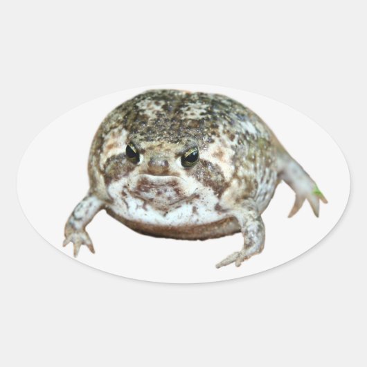 ログ 楕円形シール (正面)