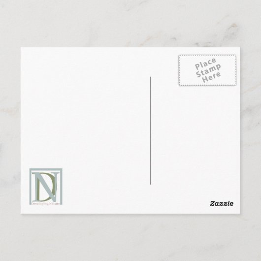 ログ#3はがき ポストカード (裏面)