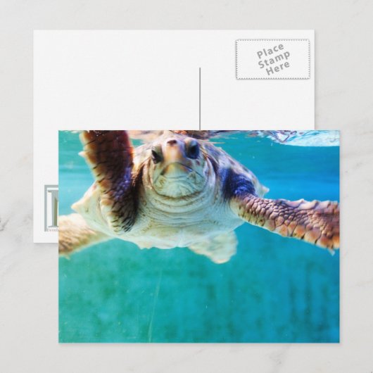 ログ#4はがき ポストカード (正面/裏面)