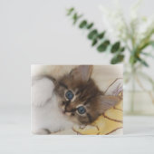 ロケットはがき ポストカード (スタンド正面)