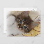 ロケットはがき ポストカード (正面/裏面)