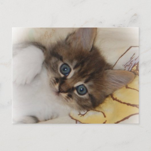 ロケットはがき ポストカード (正面)