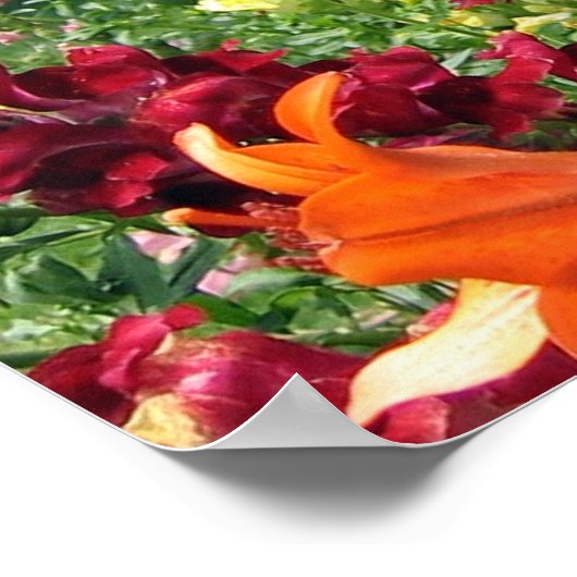 ロケットはっきりしたドラゴン ポスター (角)