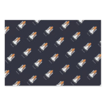 ロケット太陽のシステム宇宙飛行士衛星3ピース