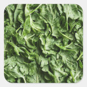 ロケット スクエアシール (正面)