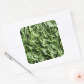 ロケット スクエアシール (封筒)