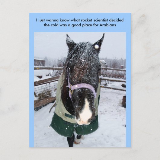 ロケットSCって… ポストカード (正面)