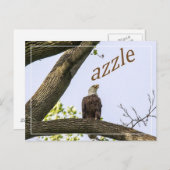 ロゴはこちら ポストカード (正面/裏面)