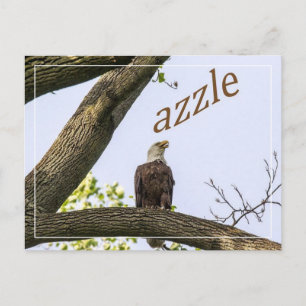 ロゴはこちら ポストカード