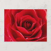 ロサロジャ ポストカード (正面)