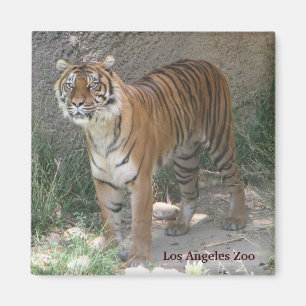 ロサンゼルスの動物園の磁石! マグネット