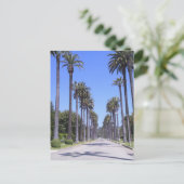 ロサンゼルスの通りのヤシ ポストカード (スタンド正面)
