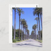 ロサンゼルスの通りのヤシ ポストカード (正面/裏面)