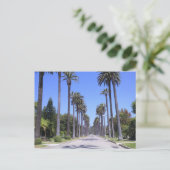 ロサンゼルスの通りのヤシ ポストカード (スタンド正面)