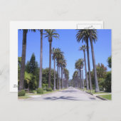 ロサンゼルスの通りのヤシ ポストカード (正面/裏面)