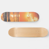 ロサンゼルスカリフォルニアビーチアットサンセット スケートボード (横)
