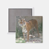 ロサンゼルス動物園マグネット！ マグネット (正面/裏面)